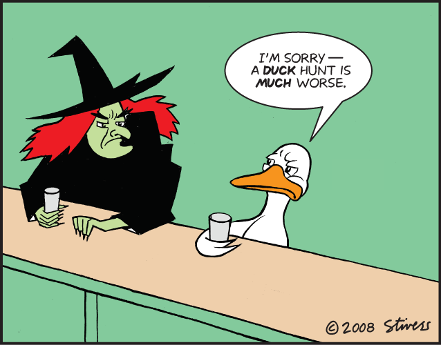 Witch And Duck